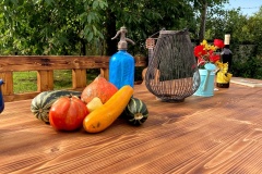 Chalupárske sedenie 08/2021